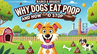 Why Does My Dog Eat Poop? Understanding And Stopping Coprophagia