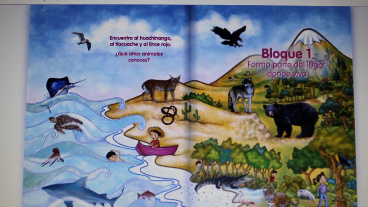 Los animales y el lugar donde viven - YouTube