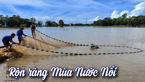 Đánh Lưới Cá Linh Mùa Nước Nổi Ở Miền Tây