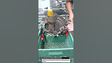 Corn Sheller Tool Technology Innovation for Traditional Farming Use