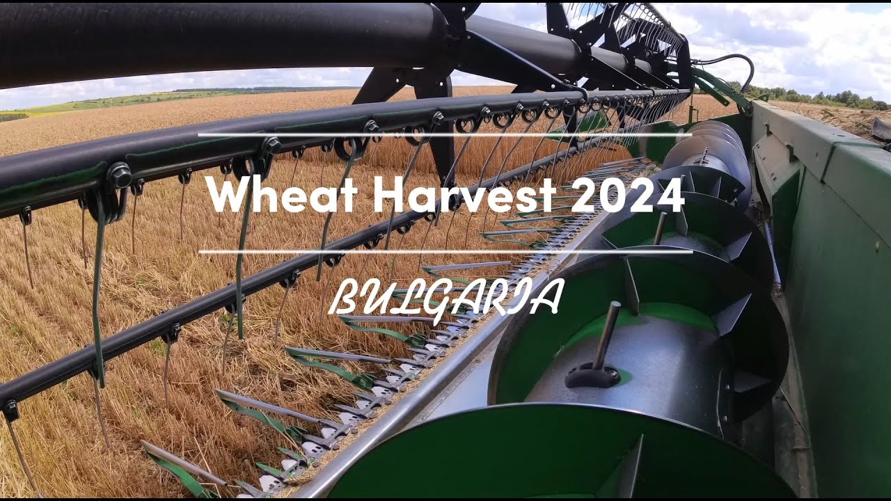 View inside the combine - Wheat 🌾 Harvest 2024 with JOHN DEERE W650 ...