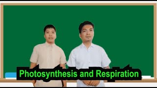 Grade 9 Q1 Module 4: Life Energy (Photosynthesis & Cellular Respiration)