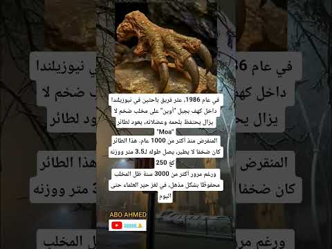 عثر فريق باحثين في نيوزيلندا داخل كهف بجبل أوين على مخلب ضخم لا يزال يحتفظ بلحمه