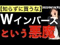 【知らずに買うな】ダブルインバースという悪魔
