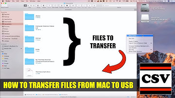 How to TRANSFER Files From a Mac to USB - Basic Tutorial | New