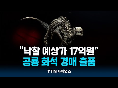 1억5천만 년 전 공룡 화석 경매 출품...&amp;quot;낙찰 예상가 17억 원&amp;quot; / 과학뉴스 | 23.09.20