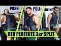 Der beste trainingsplan fr das fitnessstudio  3er split push pull beine