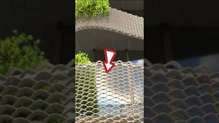 How to Skin Any Surface in SketchUp #sketchupplugins #architecture #vray6 #sketchup