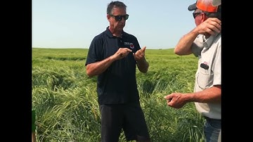 Soil microbiology breaks up compaction resulting in better soil structure and healthier plants.