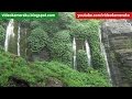 Heavy Rain on the Jungle - Waterfall Sound - Nature Sound Live Recording