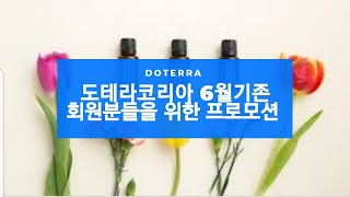 도테라코리아 기존 회원분들을 위한 6월 프로모션 ~~!!