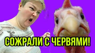 ОЧЕРЕДНОЙ ТУХЛЫЙ СЦЕНАРИЙ. ПИРАТСКАЯ ЖИЗНЬ. ОБЗОР.