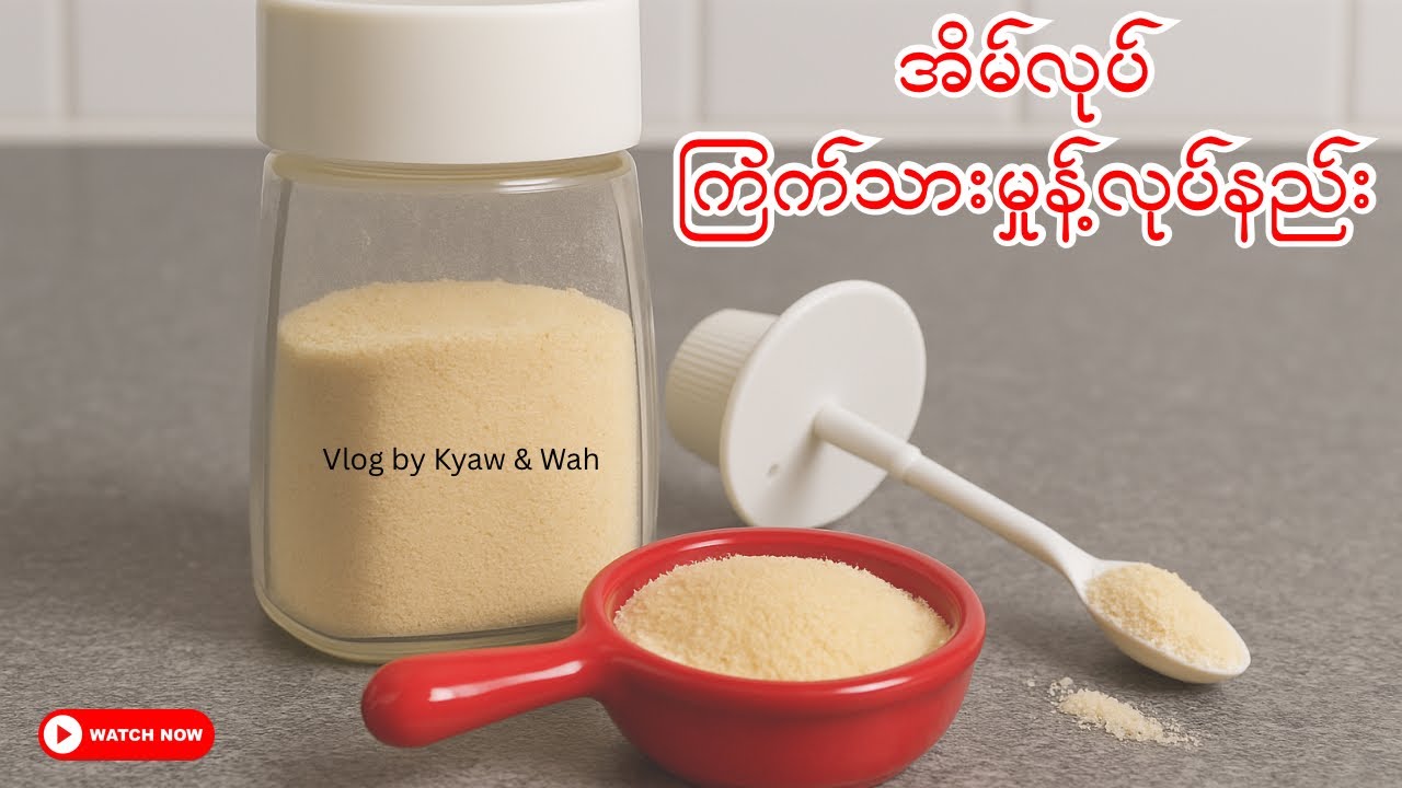 အိမ်လုပ် ကြက်သားမှုန့် အလွယ်ကူဆုံး လုပ်နည်း 🐓Homemade Chicken Powder Recipe