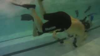 Тренировки подводных охотников. Хоккей под водой