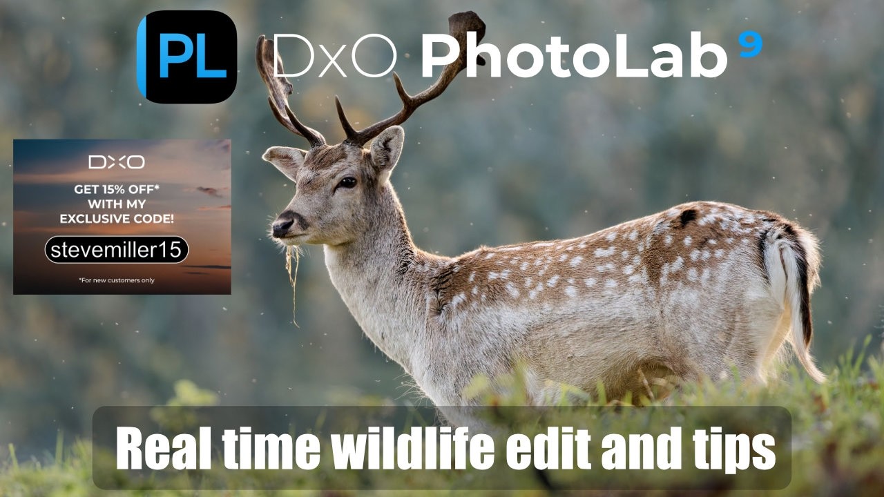 Pro Wildlife Editing Secrets in DxO PhotoLab 9 - YouTube