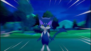 Brilliant Shiny Purrloin In Pokémon Shield