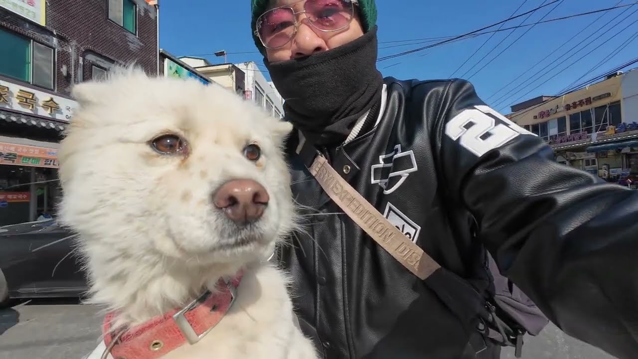 26.1.31 #진도믹스 #자전거타기 #진순이나들이 #무한천라이딩 #애완견산책