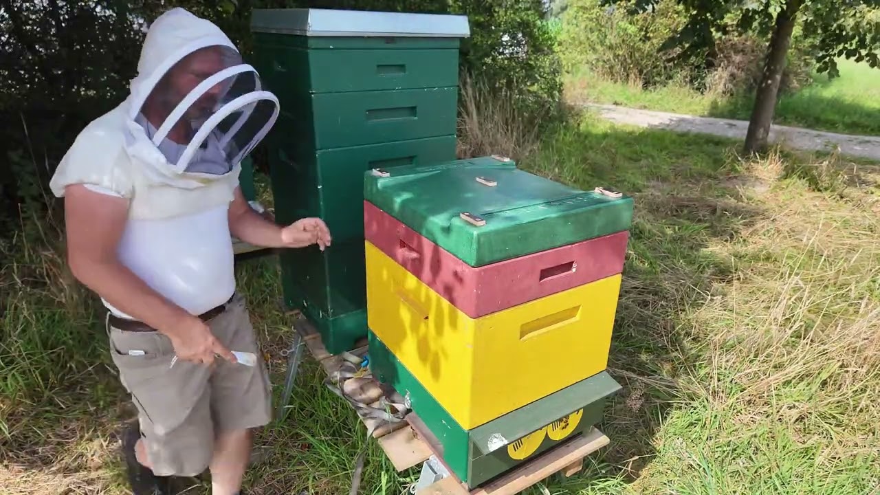 De Totale broed afname: Deel 2