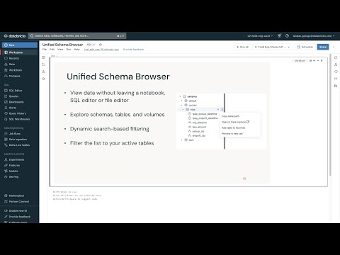 Unified Schema Browser