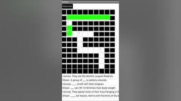 Crossword Puzzle mit app inventor