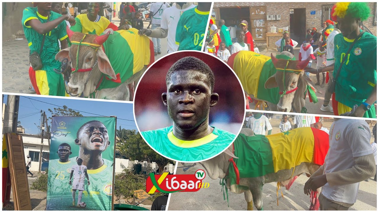 Belle images les amis d'enfants offrent un boeuf à El hadji Malick Diouf...regardez 