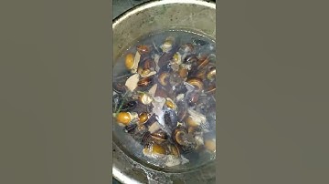 Ốc sên rừng món ăn ngon nhất tây bắc