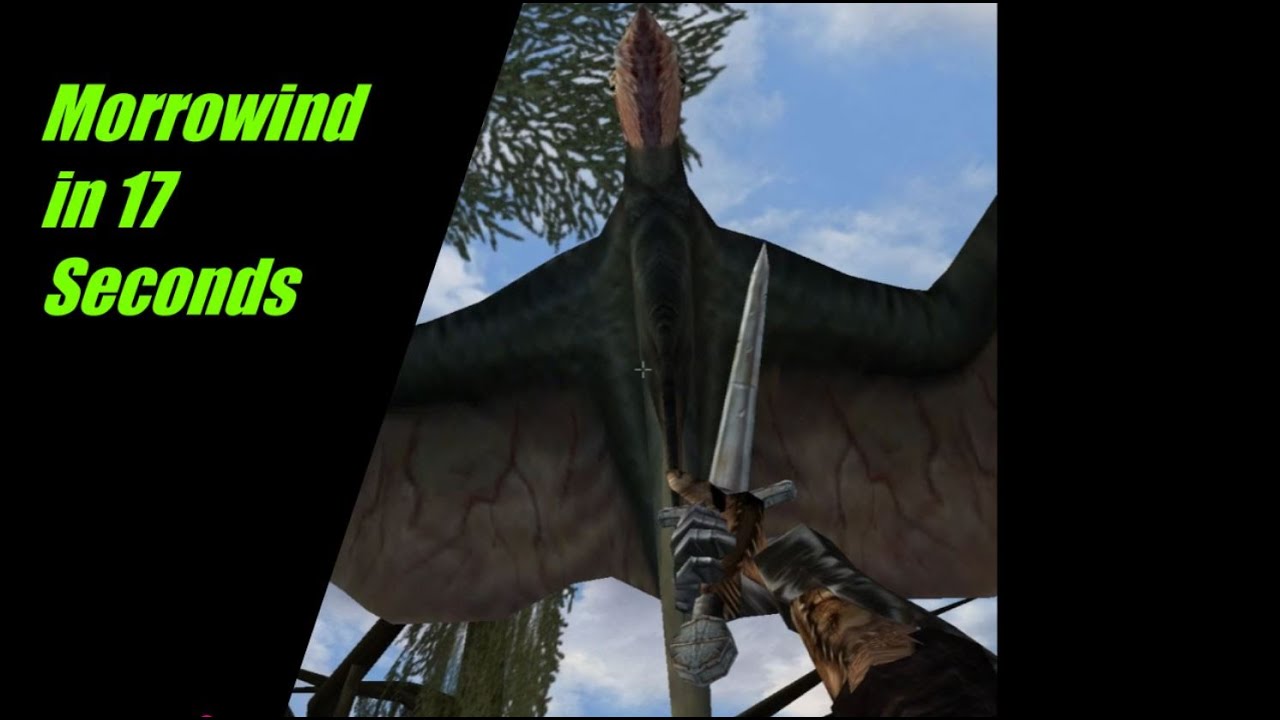 Morrowind in 17 Seconds