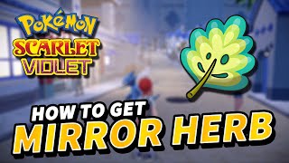 Pokemon Scarlet & Violet How to get MIRROR HERB (Egg Move Trasfer Item)