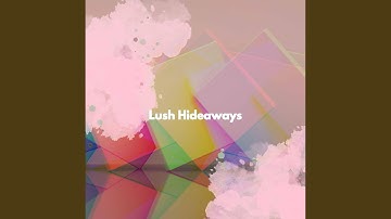 Beautiful Ambiance for Wise Options