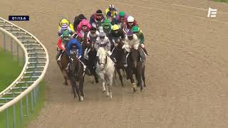 Vidéo de la course PMU GRAND HANDICAP DE LA PISTE FIBREE