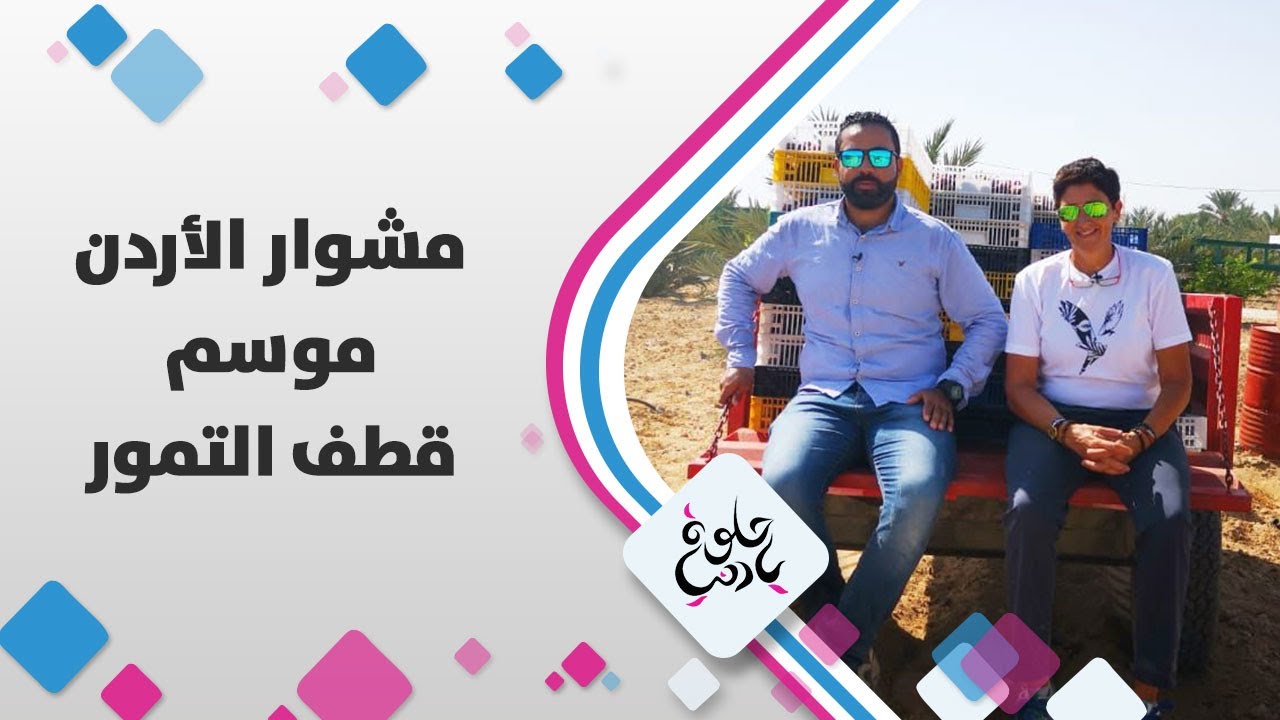 موسم حصاد التمور في منطقة الكرامة