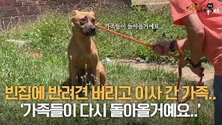 빈집에 반려견 버리고 이사 간 가족.. 2주 가까이 갇혀 홀로 기다린 반려견 by 노트펫 1,571 views 9 months ago 1 minute, 56 seconds