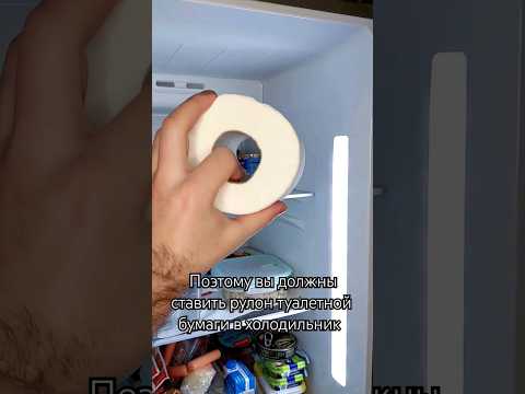 почему нужно хранить рулон туалетной бумаги в холодильнике #lifehacks #home #kitchen #eis