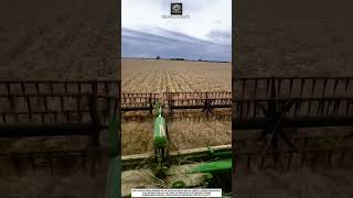 Wheat Harvester Tool Technology For High Speed Grain Field Cutting Efficiency