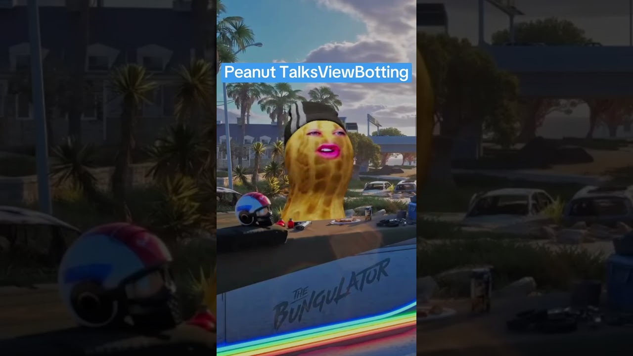 Пинат делится своими мыслями о создании Viewbotting.