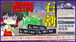 【原神】深森厳選に引導を渡すべく1週間石割してみた【ゆっくり実況】【聖遺物厳選】