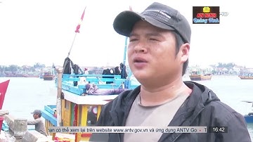 Ngư dân trúng đậm cá cơm