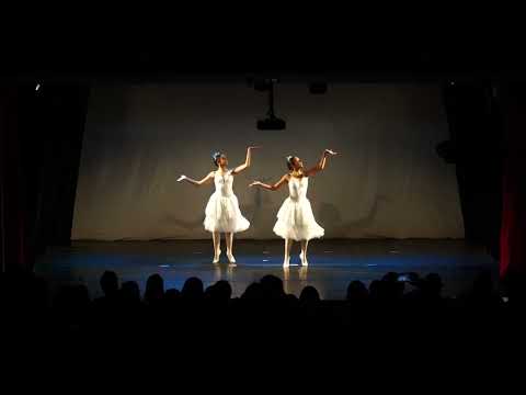 Mostra coreográfica 2023