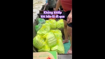 Khủng khiếp khi bão lũ đi qua,ngập lụt ,tan hoang bao mái nhà-@buingocthong1714 Video #Shorts