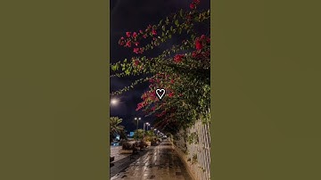 تلاوة من سورة سجدة 💕🎧 #فلسطين #القرآن_الكريم #freepalestin #quran