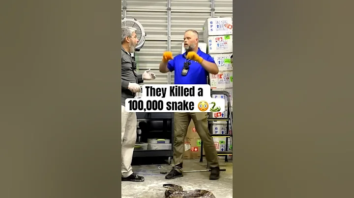 Police accidentally kill valuable snake 🐍 😱 #crazyshorts #crazyfacts #snakes #wildlife #omg #wtf
