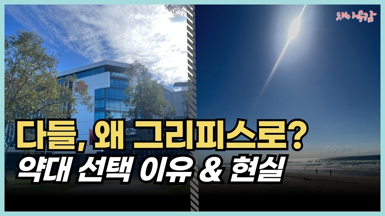 호주약대, 왜 다들 그리피스 약대를 선택할까?｜기대와 현실 솔직 정리