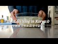 【在韓17年目Vlog/KOR】クリスマスの週末 / 日本式年越し&amp;韓国式新年 Ep.126