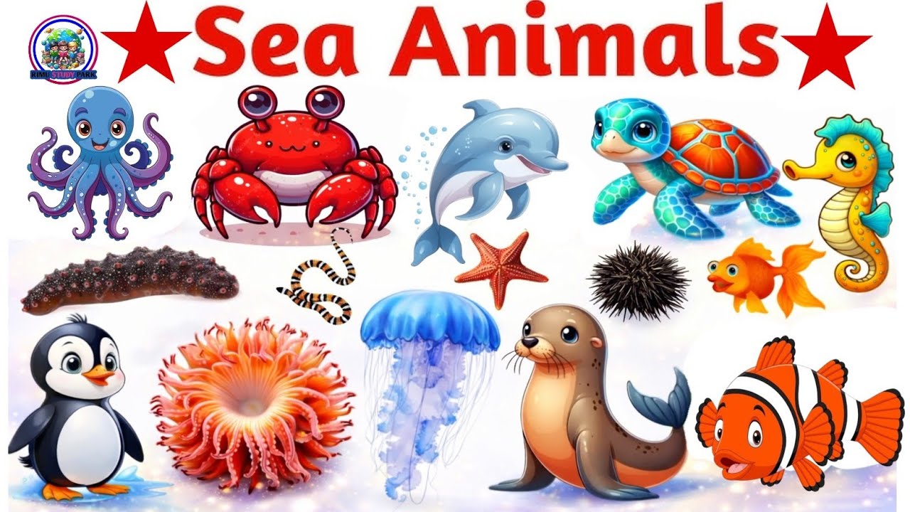 समुद्री जीव | 20 Sea Animals Names for Kids | Ocean Creatures Vocabulary