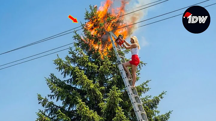 TOTAL IDIOTS AT WORK #782 | Instant Regret Fails Compilation 2025 | Best of the Week