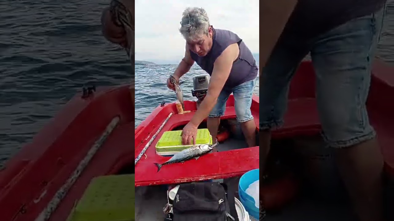 συρτη αφρου... δυο δυο τα τονακια ... το ευχαριστήθηκα αυτο το ψάρεμα