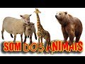 Lucas Gabriel - O som dos animais da fazenda /som dos animais Yasmim/ bichos/ selvagens/ pássaros,