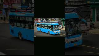 Nhà xe Thành Bưởi P136 [H.BÁCH FUTABUSLINES] #tiktokxekhach #thacomobihome
