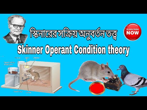 Skinner Operant Conditioning theory | স্কিনার সক্রিয় অনুবর্তন তত্ত্ব | study 4 education |