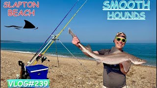 SMOOTH-HOUND Fishing With Bassman 